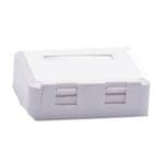 2 Port Surface Mount Box